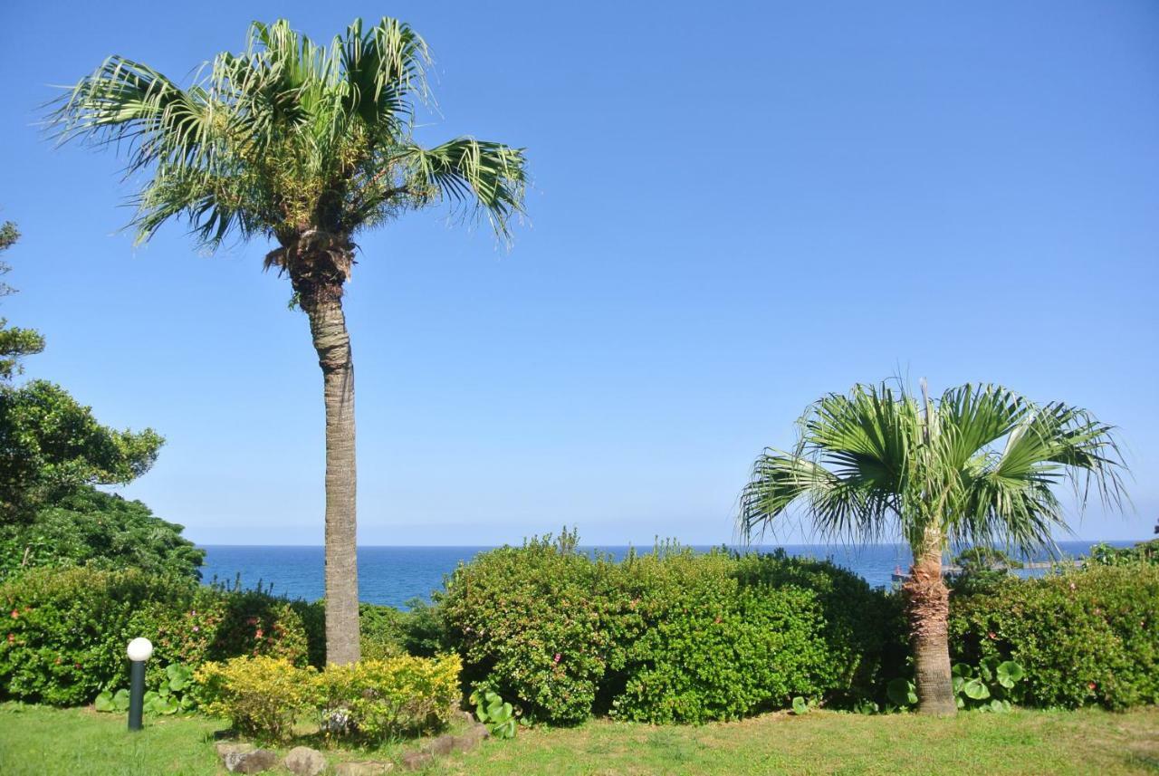 Yakushima Green Hotel Kültér fotó